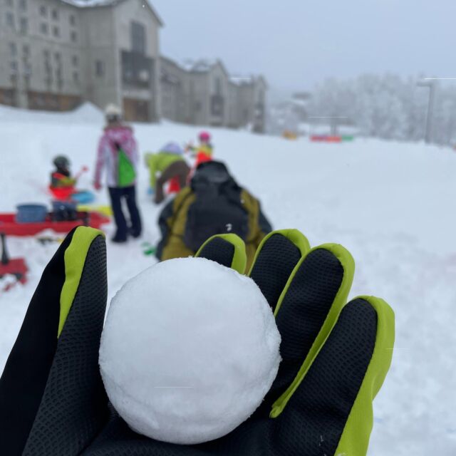 先週は所沢でも雪が降りましたが、５団でも1/5～8に妙高高原にスキーキャンプに行きました。
みんなでスキーしたり、ソリをしたり、雪合戦したり、楽しい時間を過ごしました。

#ボーイスカウト #所沢第5団
 #ビーバー隊 #カブ隊 #ボーイ隊 #所沢